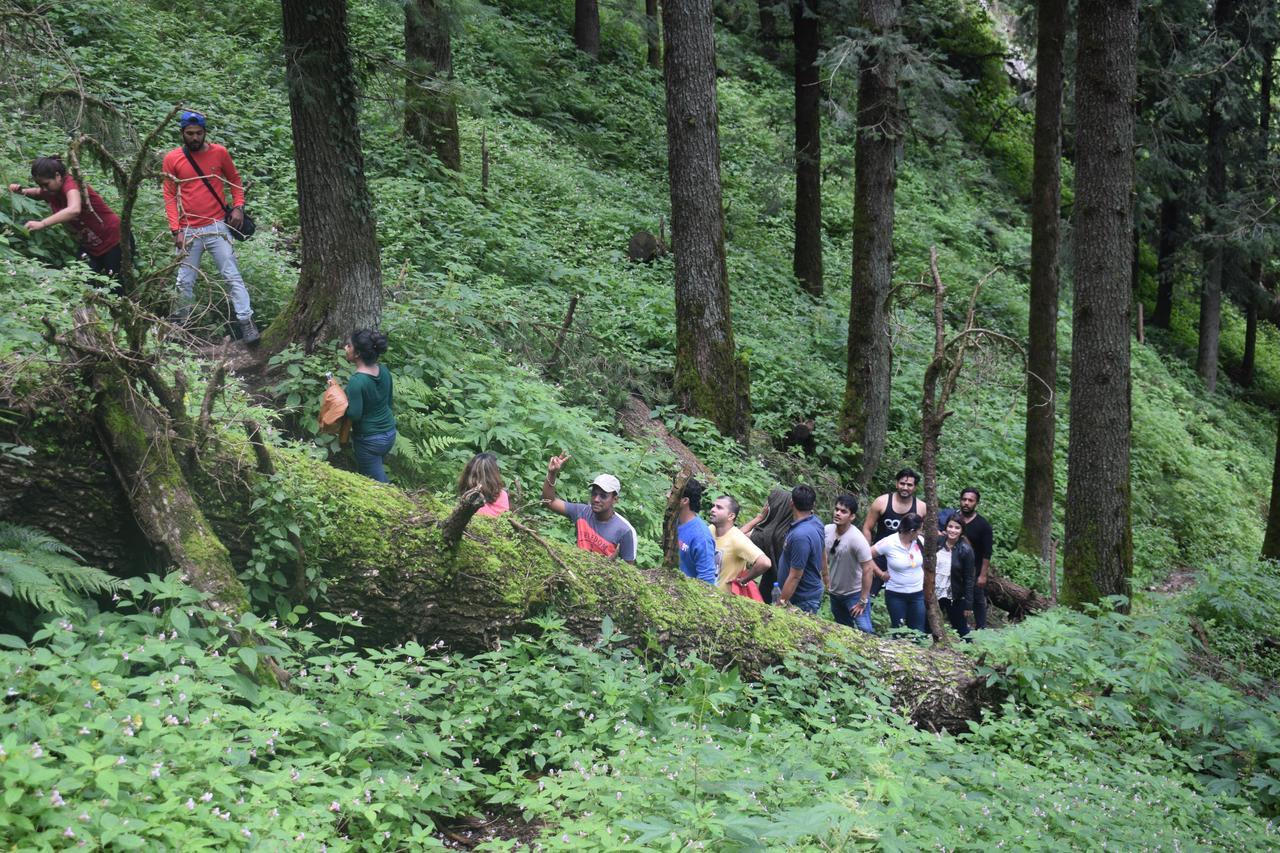 Ghughuti Resort Mussoorie Luaran gambar